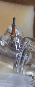 20220801_091621.gif
